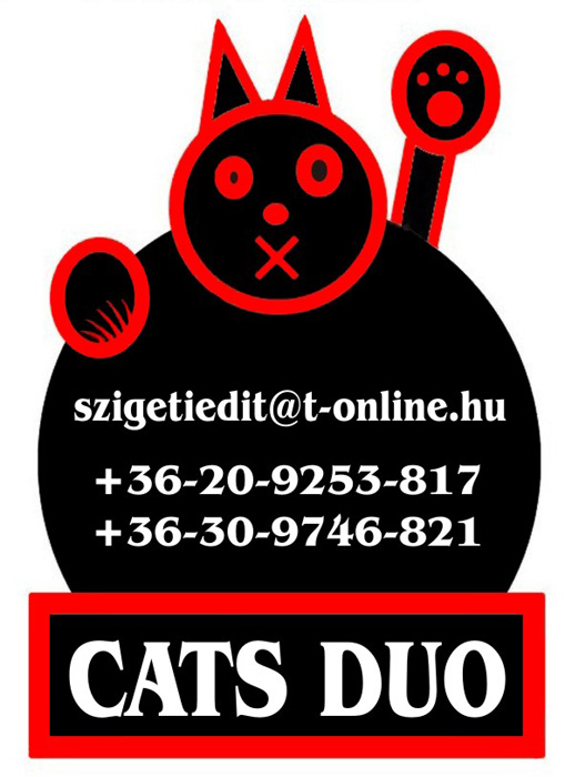 Cats Duo logo2